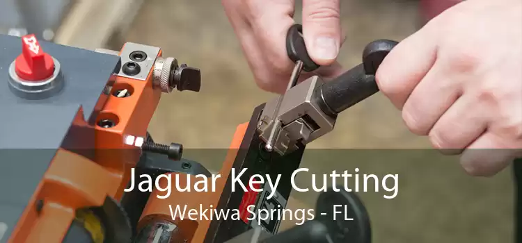 Jaguar Key Cutting Wekiwa Springs - FL