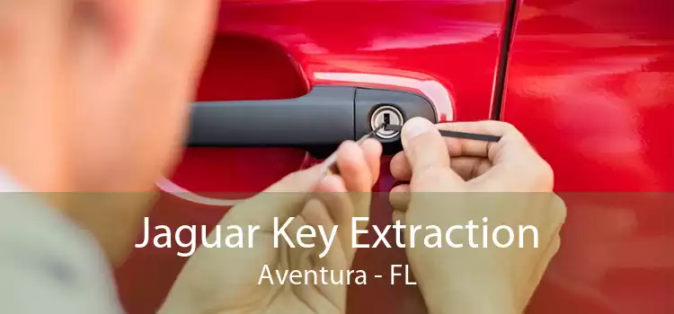 Jaguar Key Extraction Aventura - FL