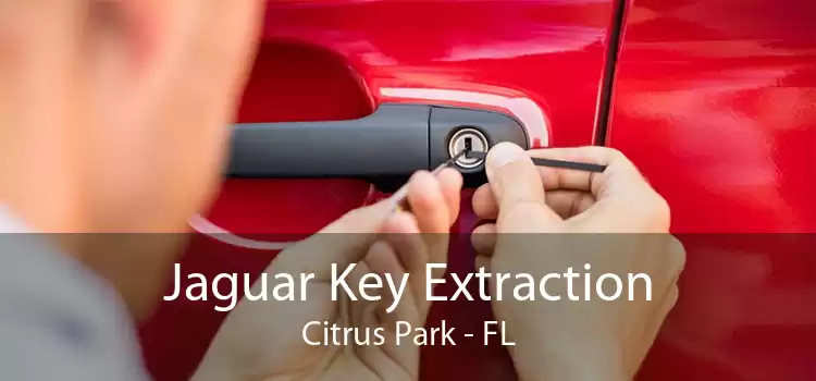 Jaguar Key Extraction Citrus Park - FL