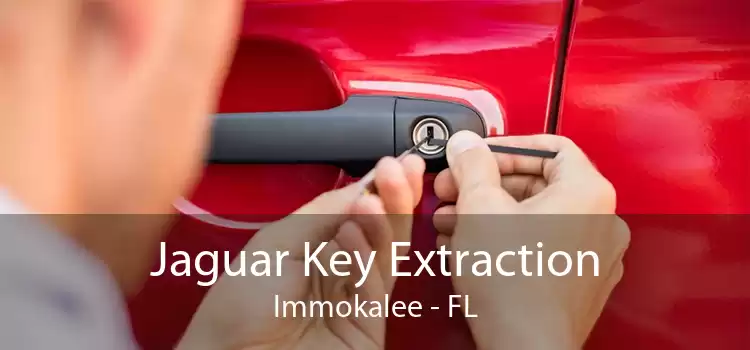 Jaguar Key Extraction Immokalee - FL