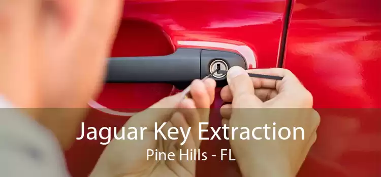 Jaguar Key Extraction Pine Hills - FL