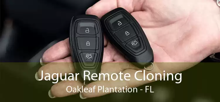 Jaguar Remote Cloning Oakleaf Plantation - FL