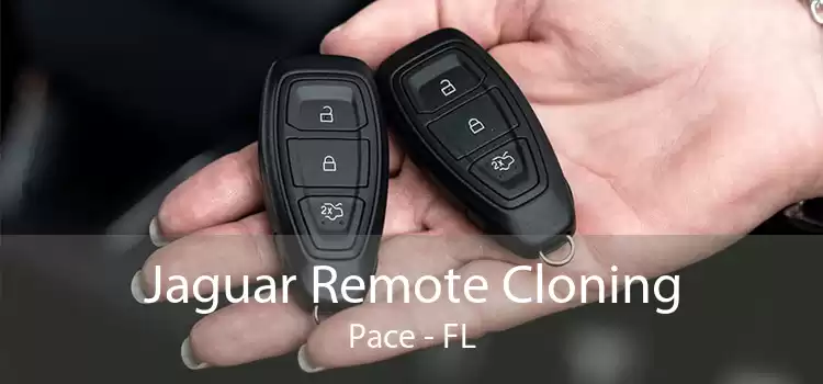 Jaguar Remote Cloning Pace - FL