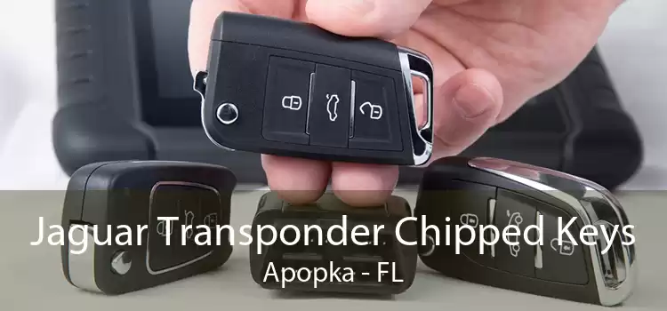 Jaguar Transponder Chipped Keys Apopka - FL