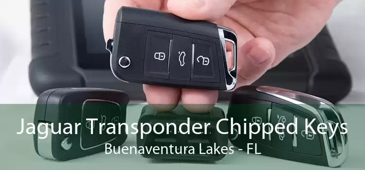 Jaguar Transponder Chipped Keys Buenaventura Lakes - FL