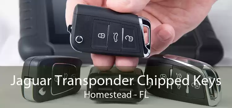 Jaguar Transponder Chipped Keys Homestead - FL