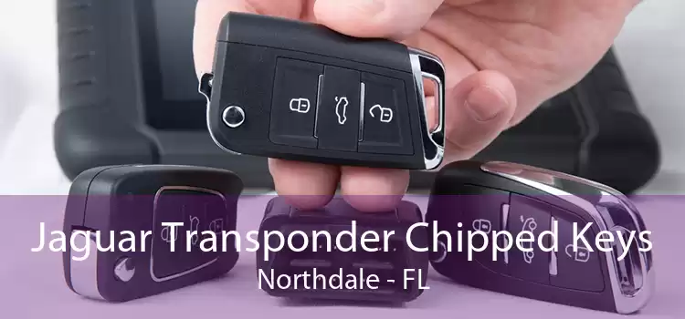 Jaguar Transponder Chipped Keys Northdale - FL