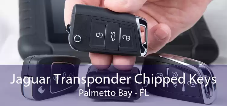 Jaguar Transponder Chipped Keys Palmetto Bay - FL