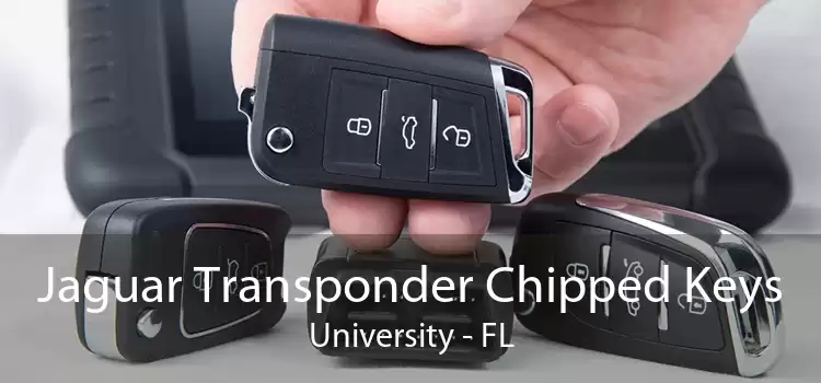Jaguar Transponder Chipped Keys University - FL