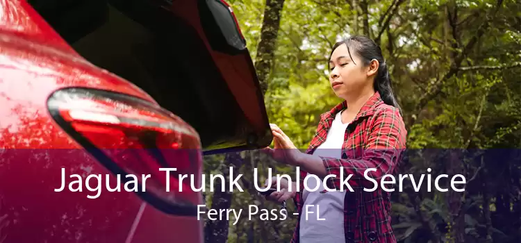 Jaguar Trunk Unlock Service Ferry Pass - FL