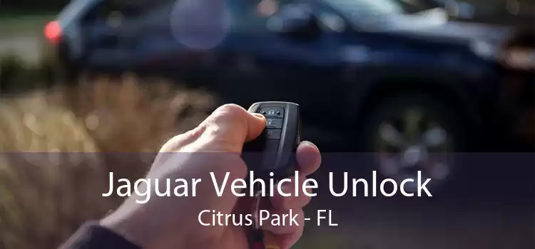 Jaguar Vehicle Unlock Citrus Park - FL