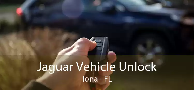 Jaguar Vehicle Unlock Iona - FL