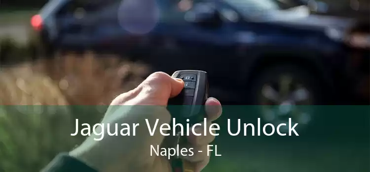 Jaguar Vehicle Unlock Naples - FL
