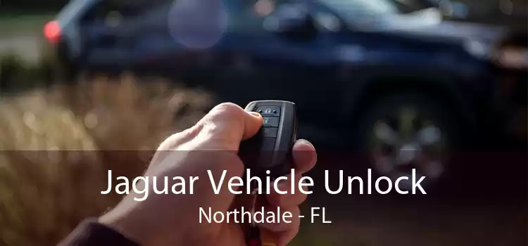 Jaguar Vehicle Unlock Northdale - FL