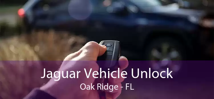 Jaguar Vehicle Unlock Oak Ridge - FL