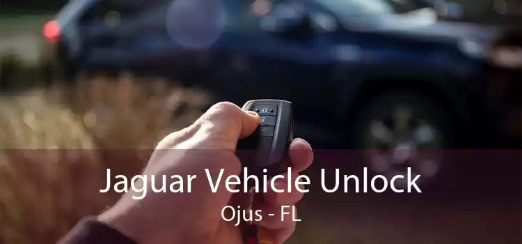Jaguar Vehicle Unlock Ojus - FL