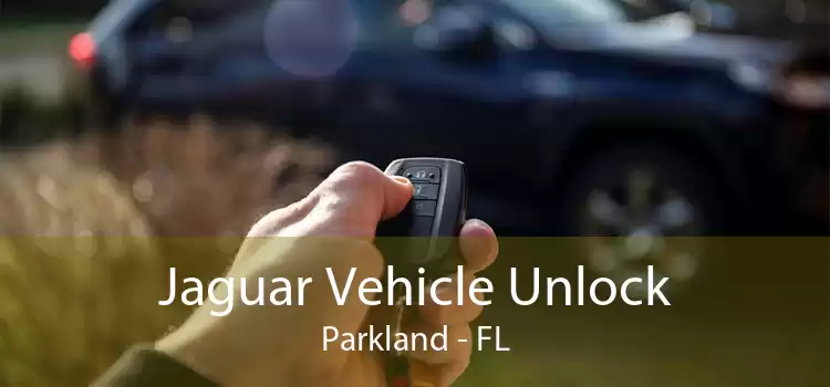 Jaguar Vehicle Unlock Parkland - FL