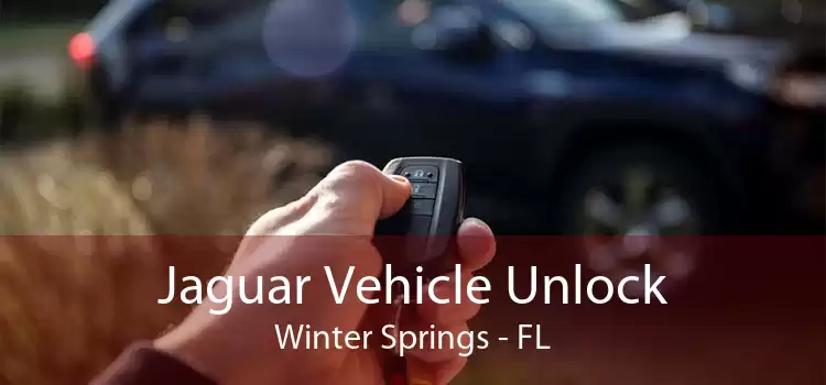 Jaguar Vehicle Unlock Winter Springs - FL