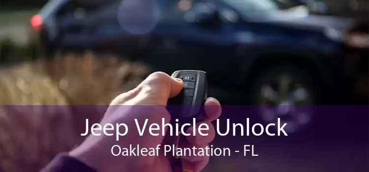 Jeep Vehicle Unlock Oakleaf Plantation - FL