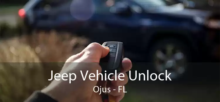 Jeep Vehicle Unlock Ojus - FL