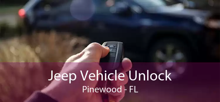Jeep Vehicle Unlock Pinewood - FL