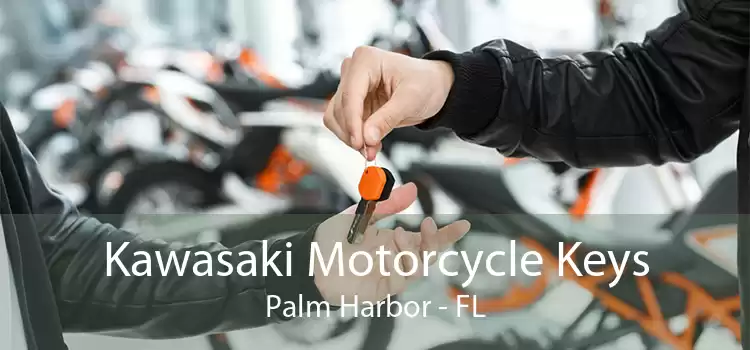 Kawasaki Motorcycle Keys Palm Harbor - FL