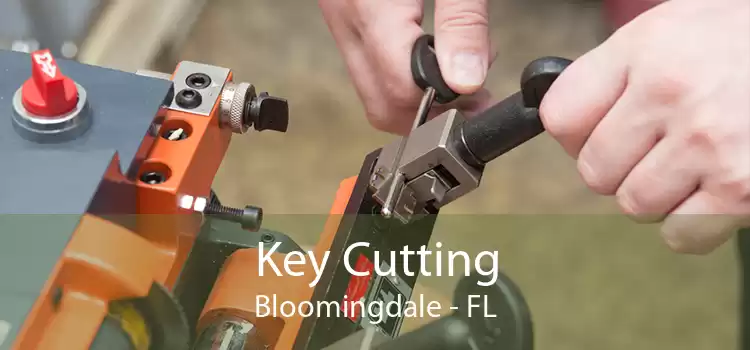 Key Cutting Bloomingdale - FL