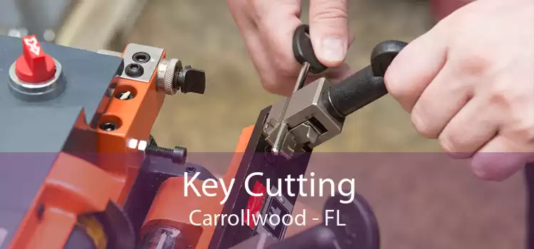Key Cutting Carrollwood - FL