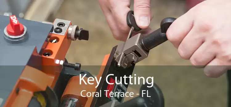 Key Cutting Coral Terrace - FL