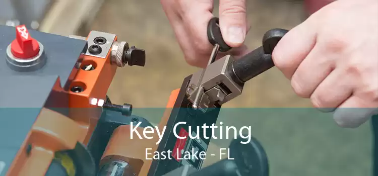 Key Cutting East Lake - FL