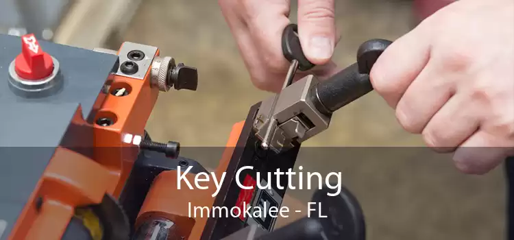 Key Cutting Immokalee - FL