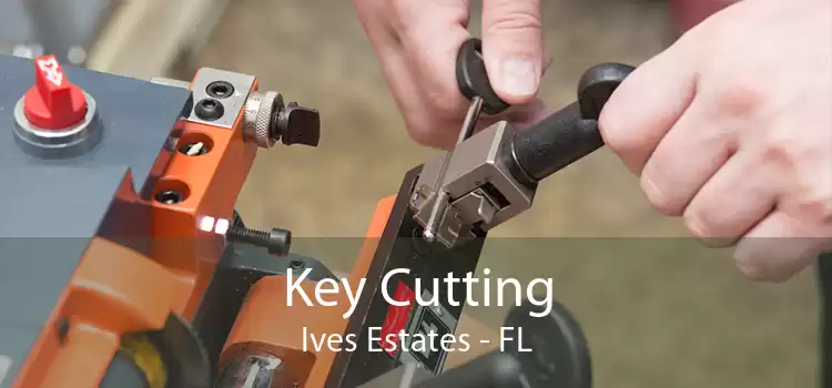 Key Cutting Ives Estates - FL