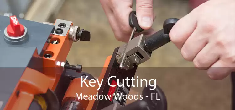 Key Cutting Meadow Woods - FL