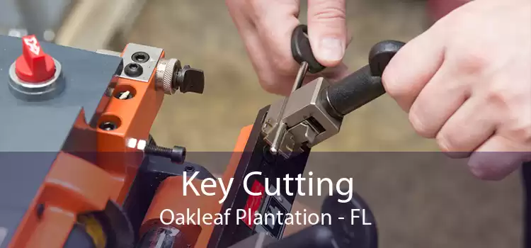 Key Cutting Oakleaf Plantation - FL