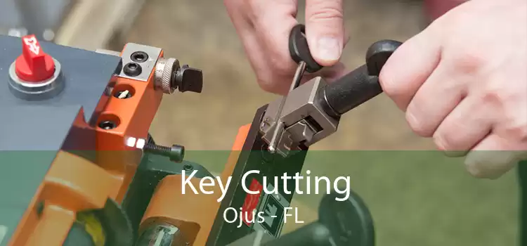 Key Cutting Ojus - FL
