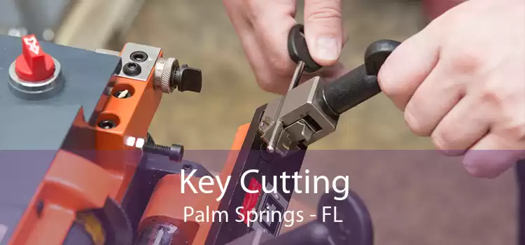 Key Cutting Palm Springs - FL