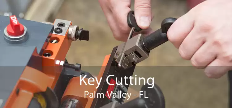 Key Cutting Palm Valley - FL