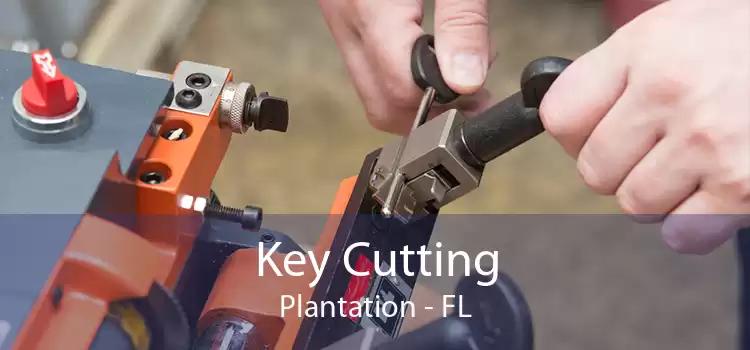 Key Cutting Plantation - FL