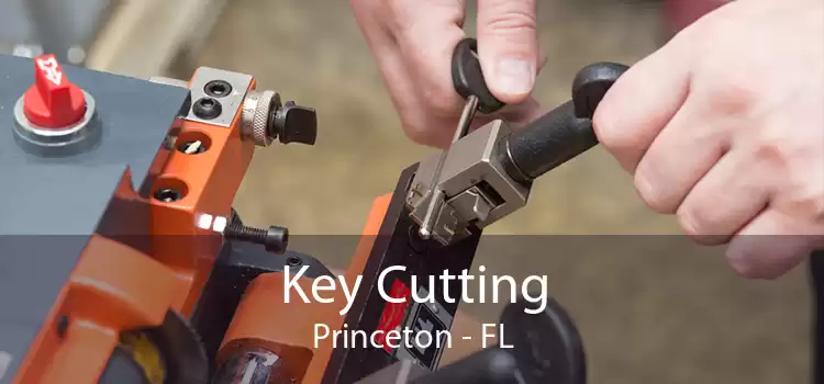 Key Cutting Princeton - FL