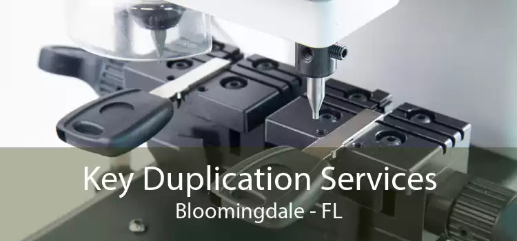 Key Duplication Services Bloomingdale - FL