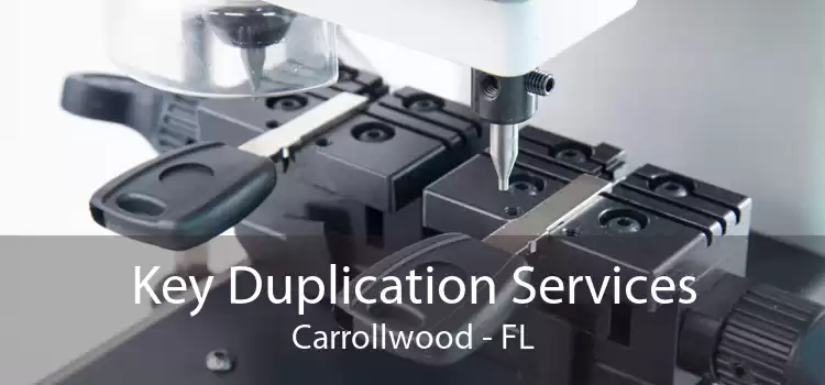 Key Duplication Services Carrollwood - FL