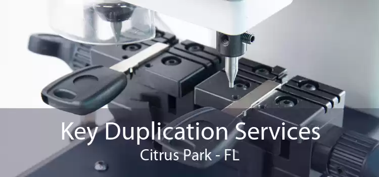 Key Duplication Services Citrus Park - FL