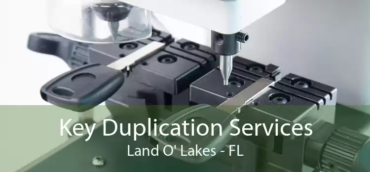 Key Duplication Services Land O' Lakes - FL