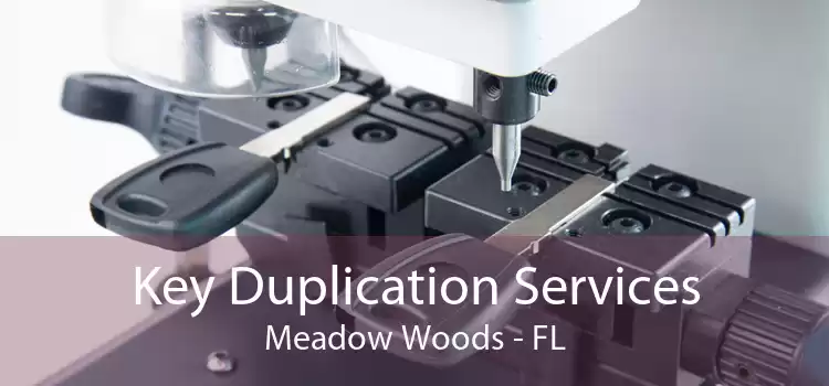 Key Duplication Services Meadow Woods - FL