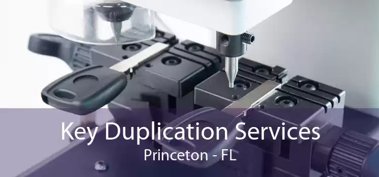 Key Duplication Services Princeton - FL