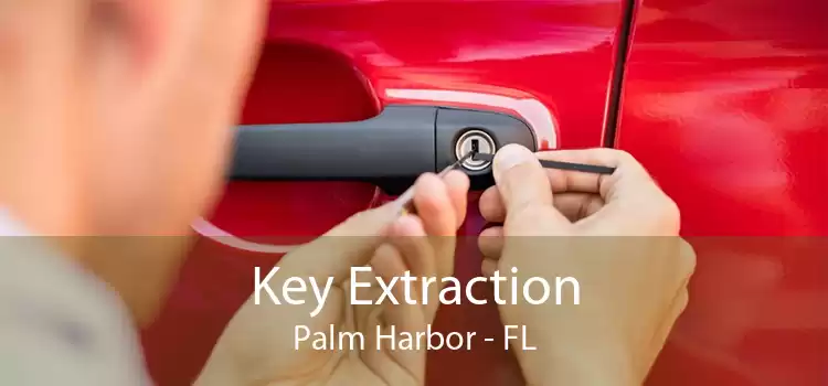 Key Extraction Palm Harbor - FL