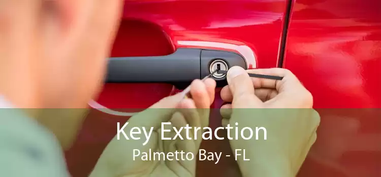 Key Extraction Palmetto Bay - FL