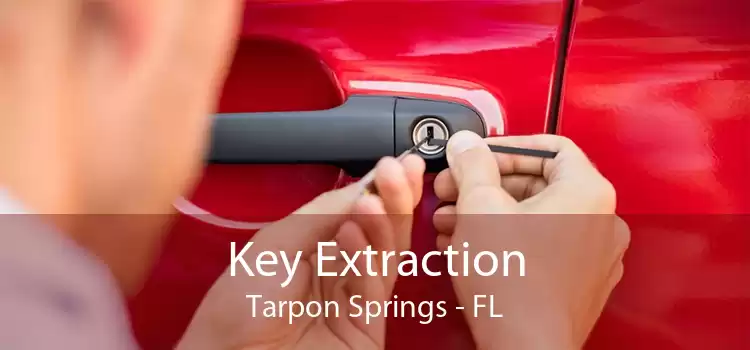 Key Extraction Tarpon Springs - FL