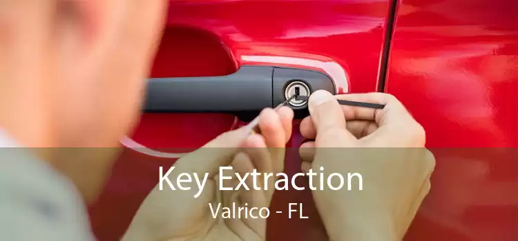 Key Extraction Valrico - FL