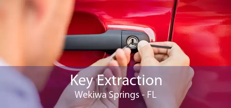 Key Extraction Wekiwa Springs - FL